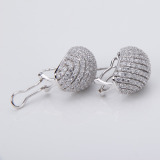 Fancy Sterling Silver Jewelry Earrings (WE0010)
